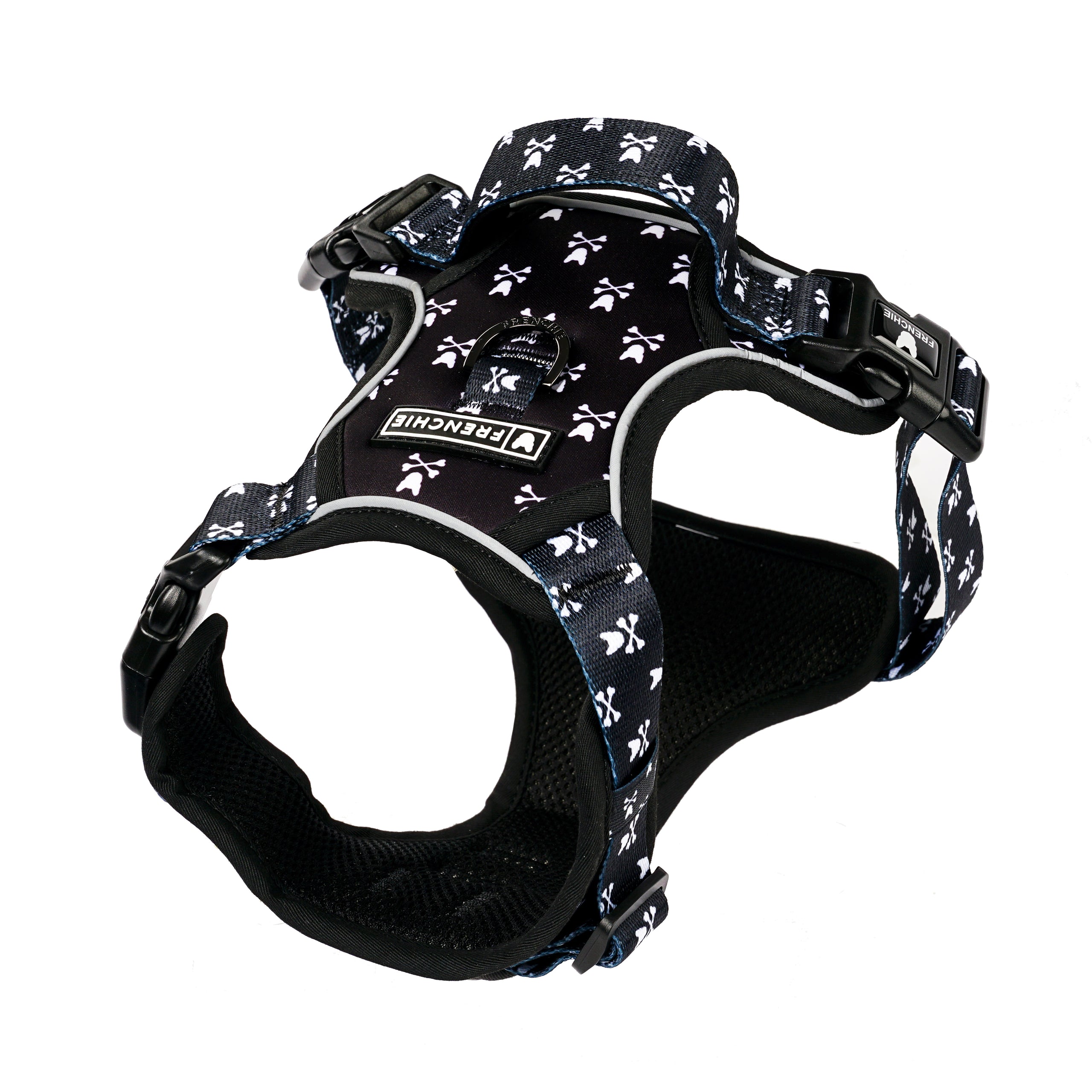 Dog wearing a printed comfort collar