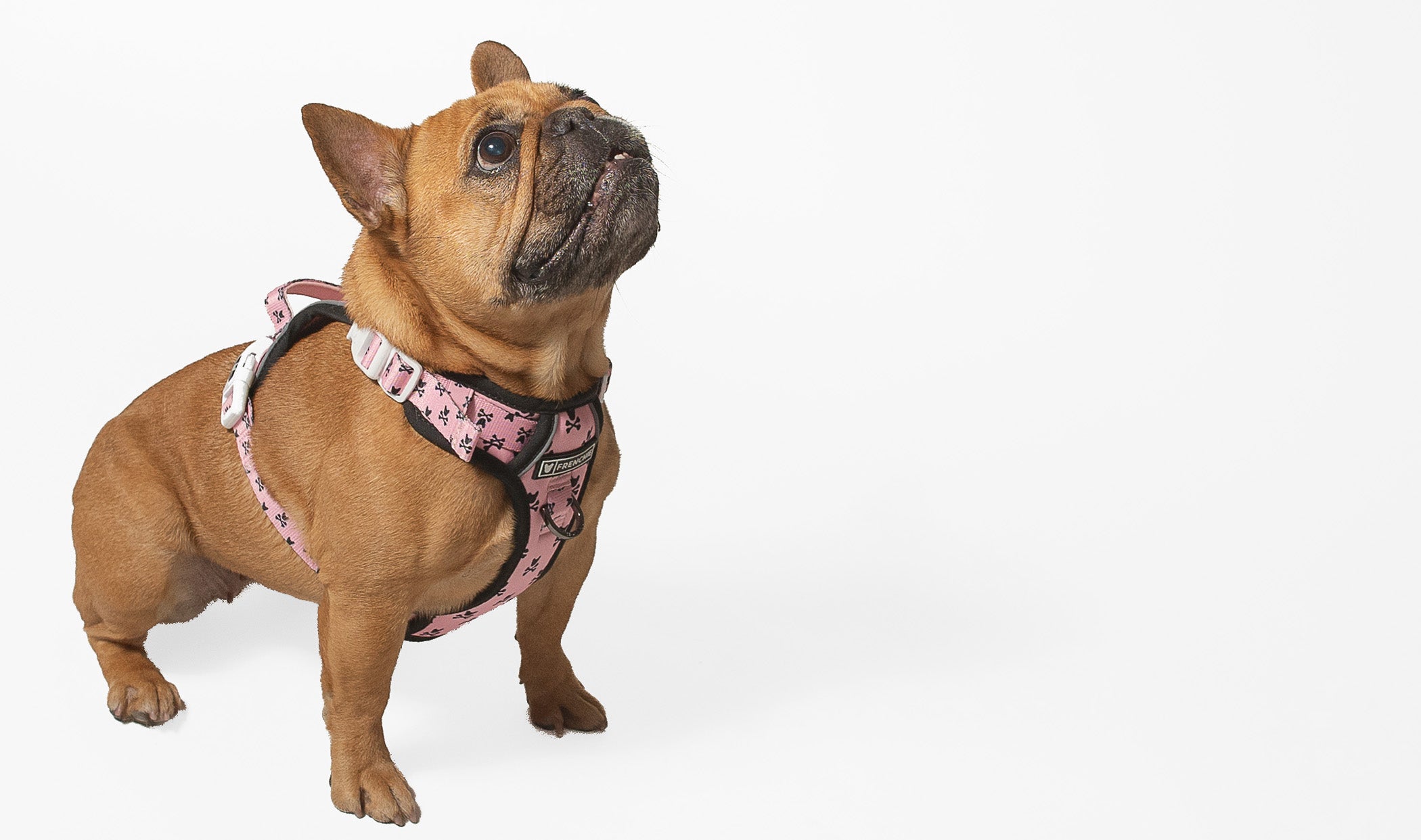 NEW! Adjustable Harness
