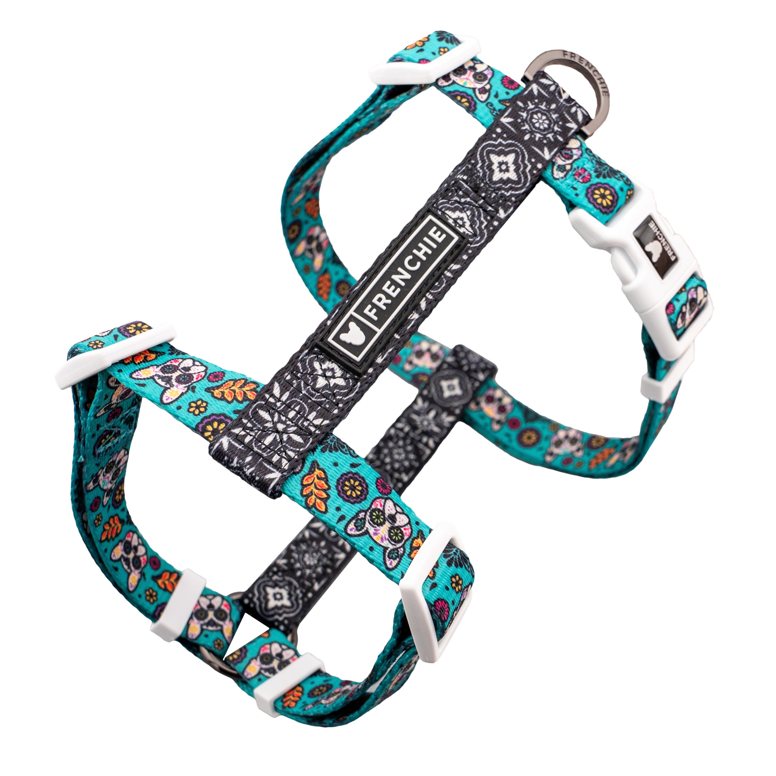 Strap harness paired with a leash
