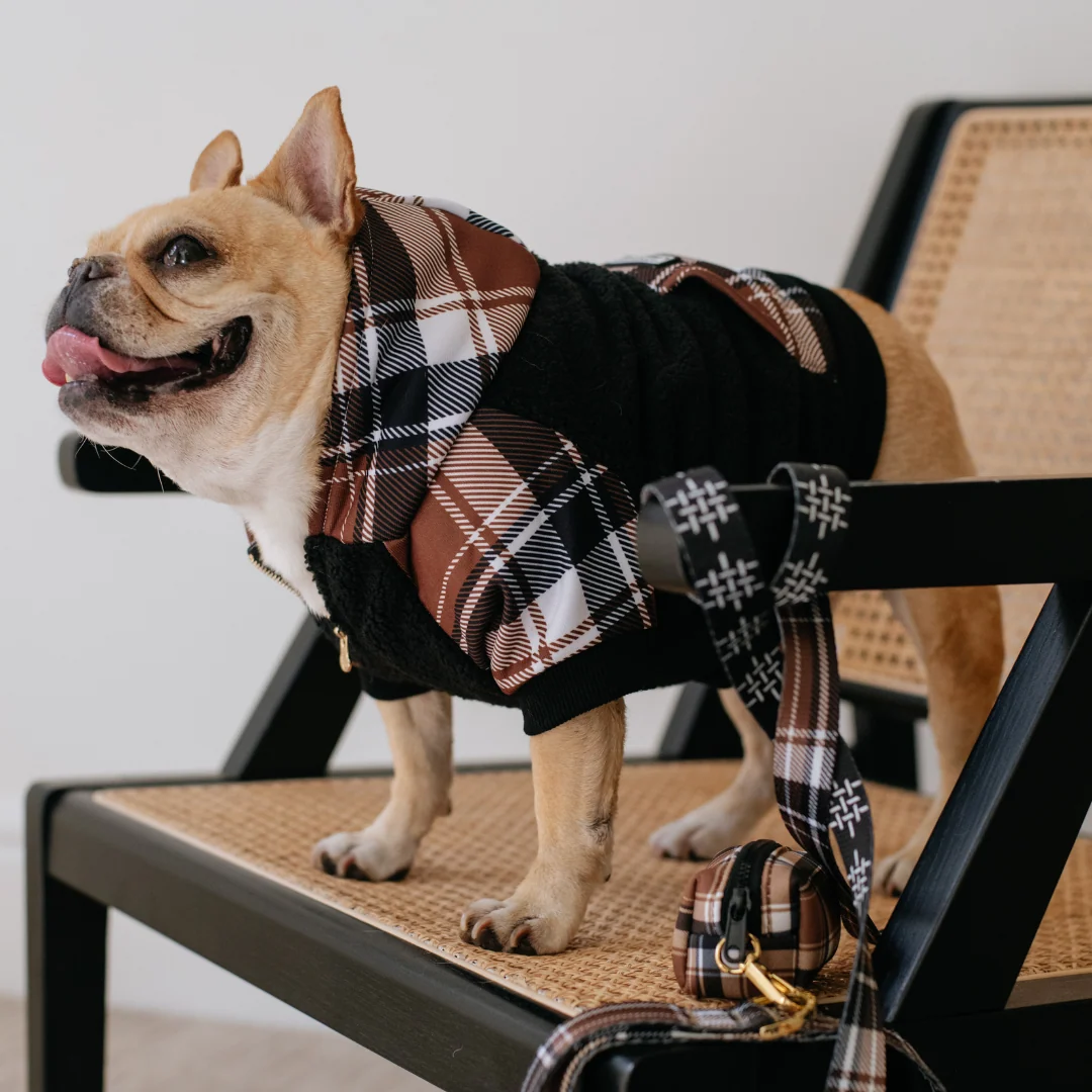 Hoodie Anjing Frenchie Cocoa Plaid Zip-Up untuk Frenchies dan Ras Kecil