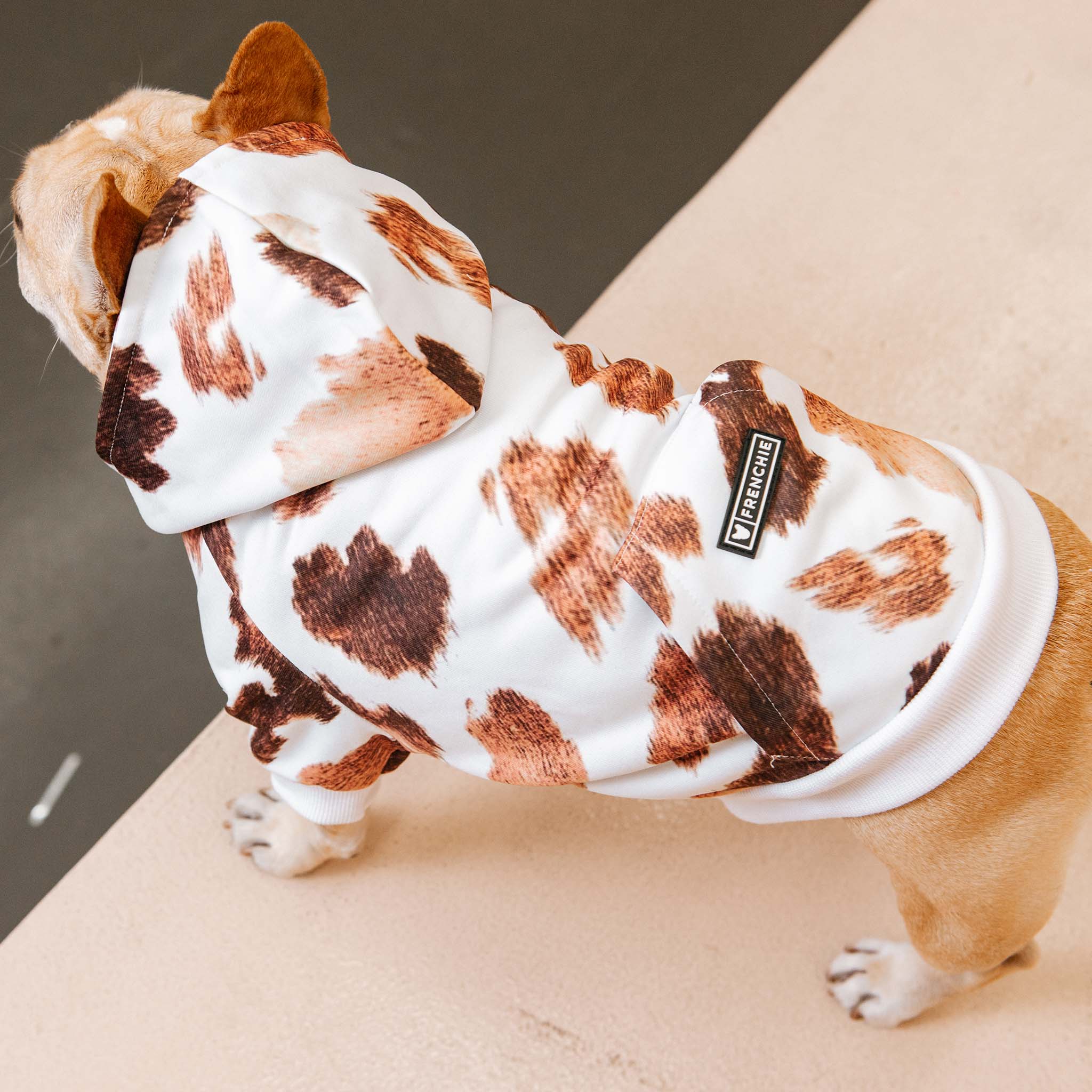 Frenchie Dog Hoodie Moo Print with Oversized Dual-Lined Hood
