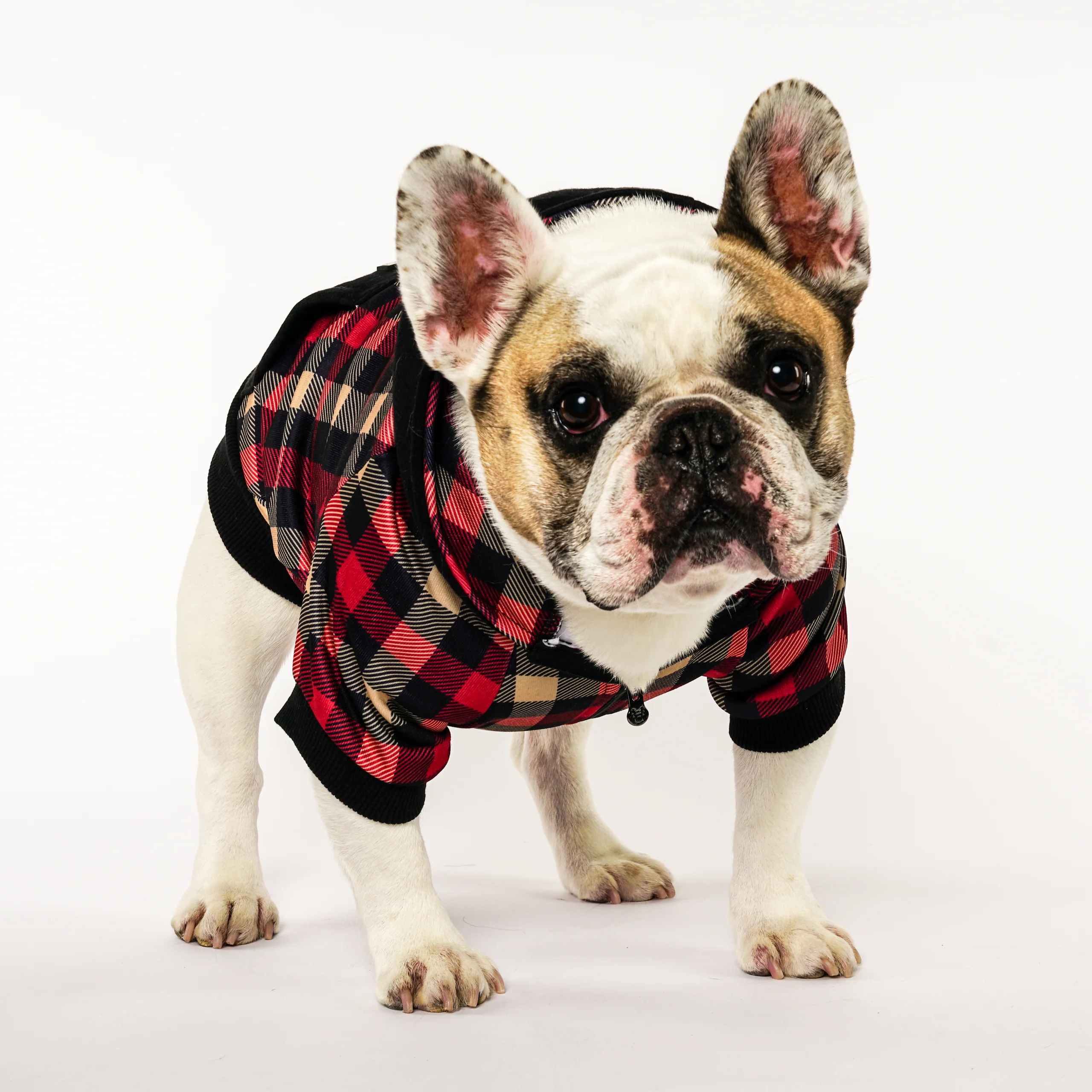 Cabin Plaid Frenchie Dog Hoodie Varsity Cut for Small and Medium Dogs