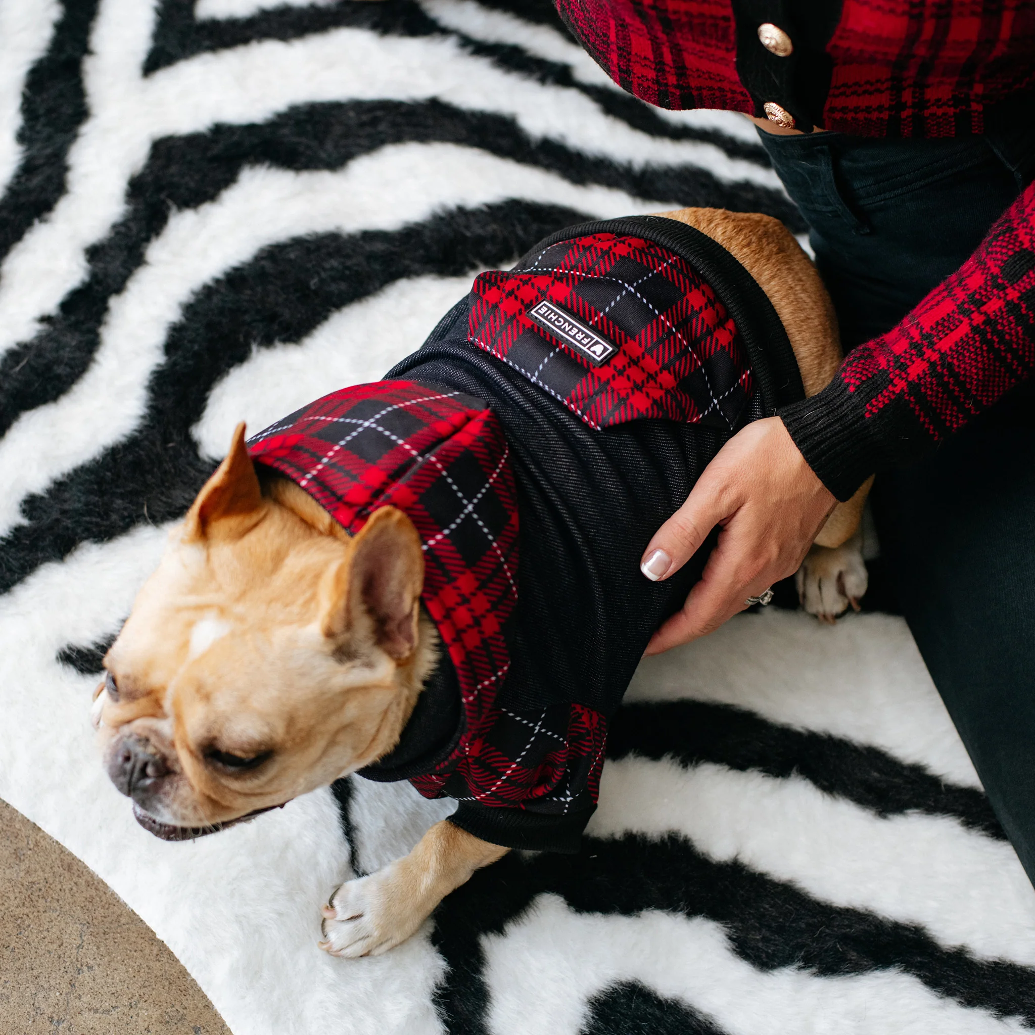 Frenchie hundehættetrøje Red Tartan lynlås med seleåbning