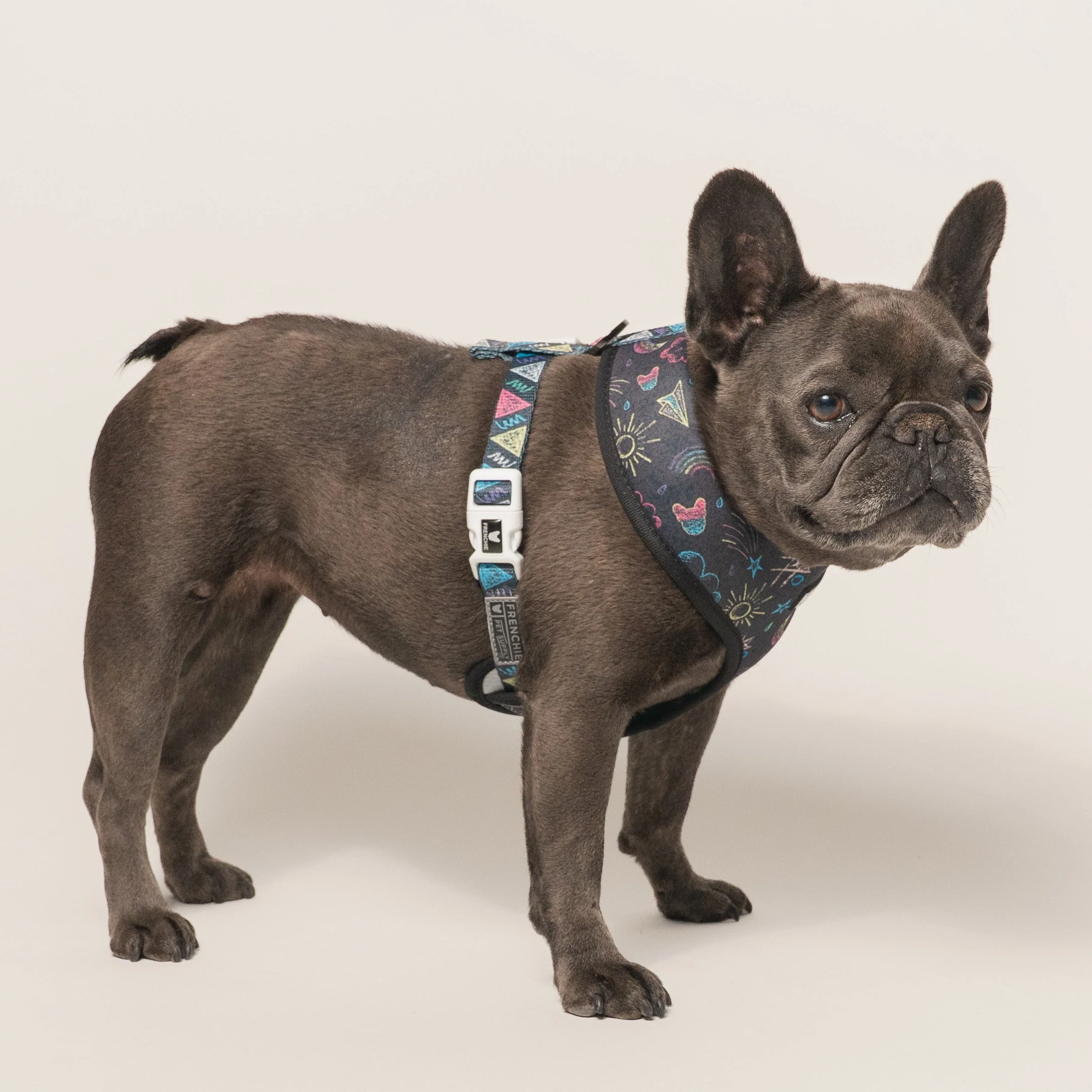 Peitoral Duo Reversível Frenchie Chalk Art para Cães Pequenos e Médios