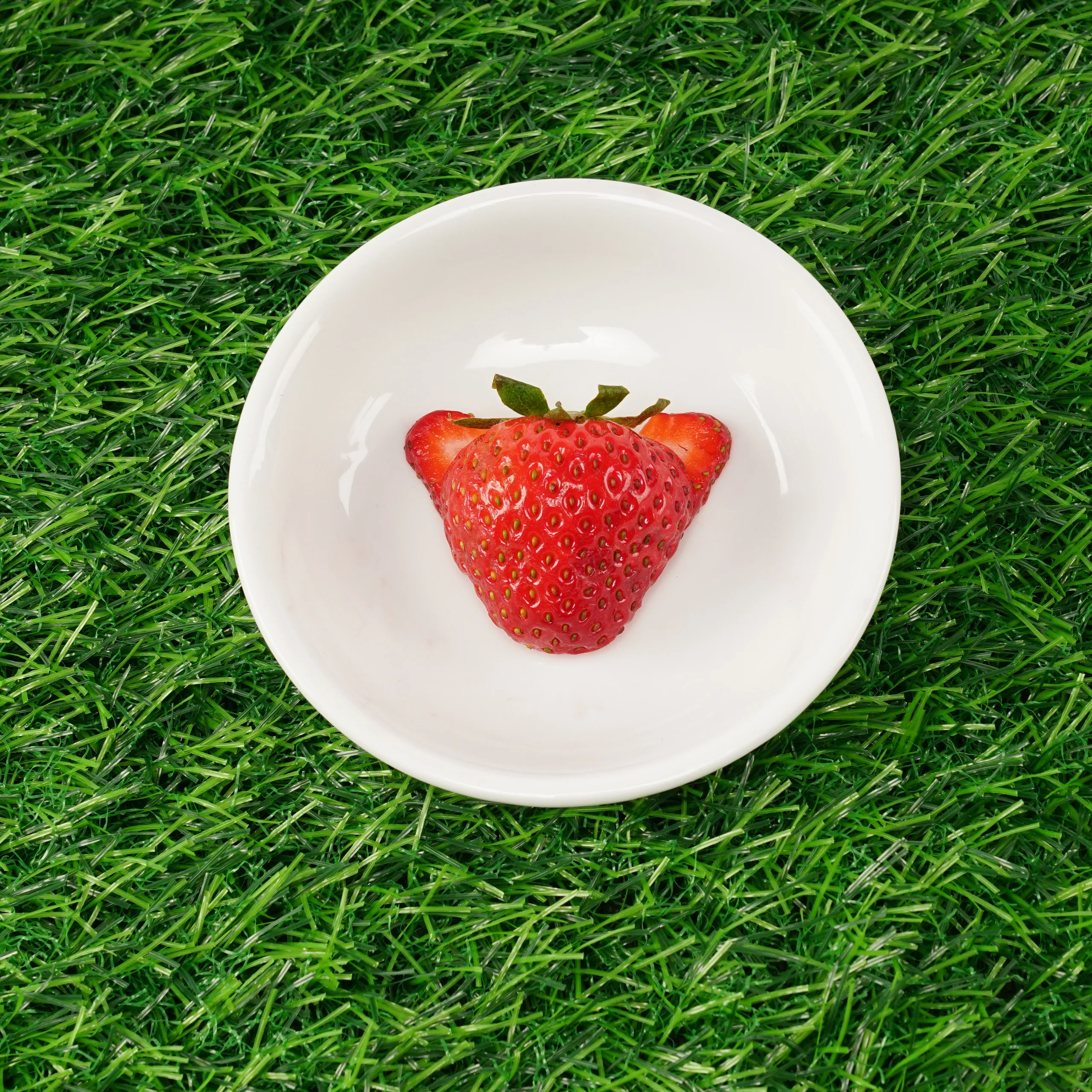 Frenchie Duo vendbar sele Strawberry Fields til små og mellemstore hunde