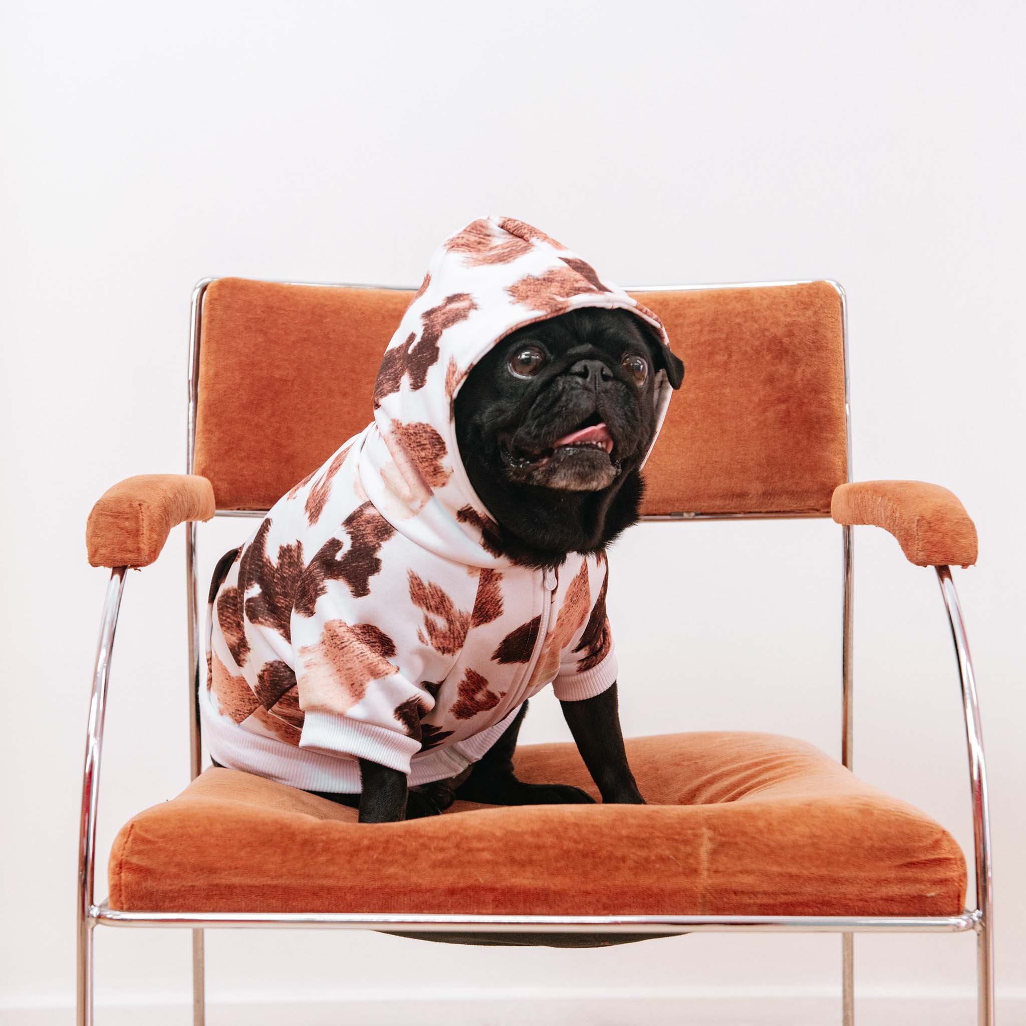 Frenchie Dog Hoodie Moo Print with Oversized Dual-Lined Hood