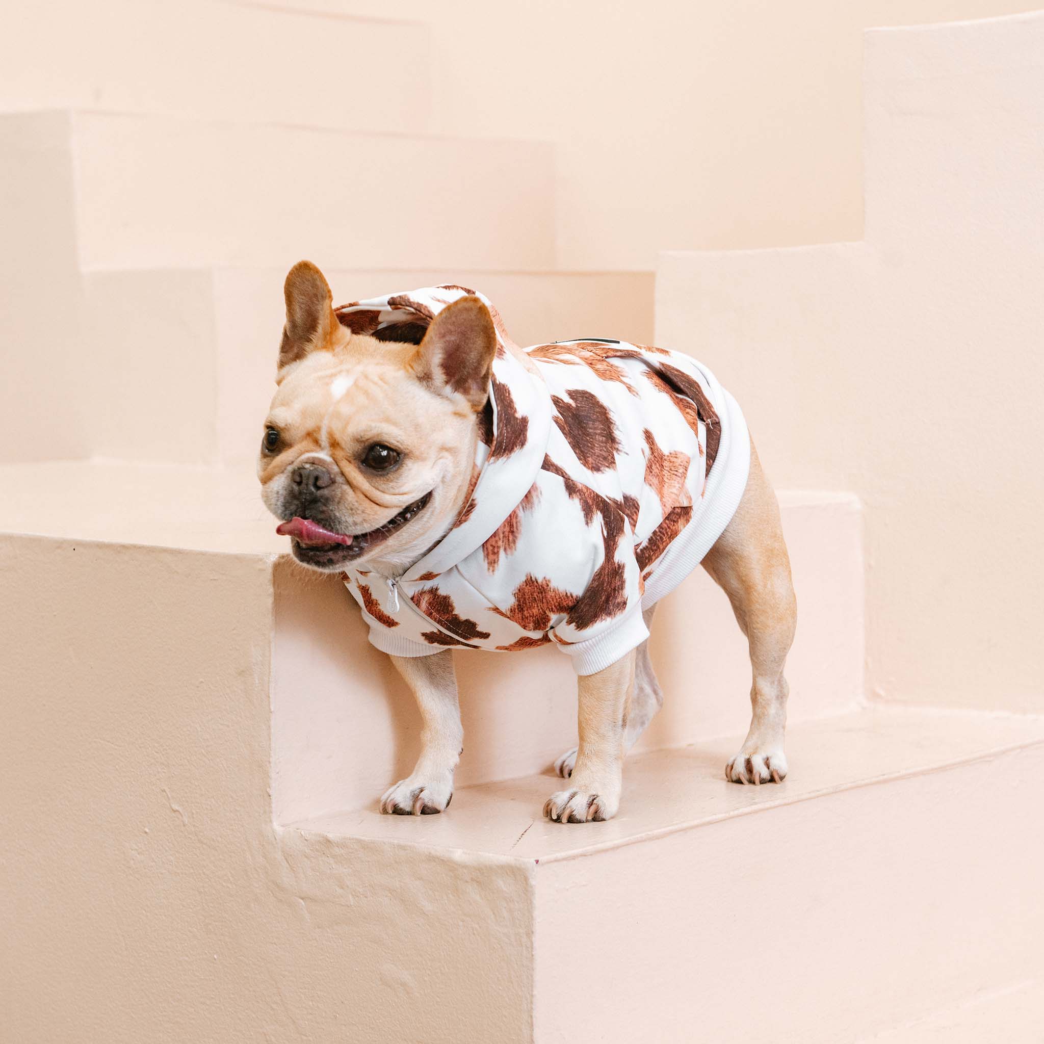 Frenchie Dog Hoodie Moo Print with Oversized Dual-Lined Hood
