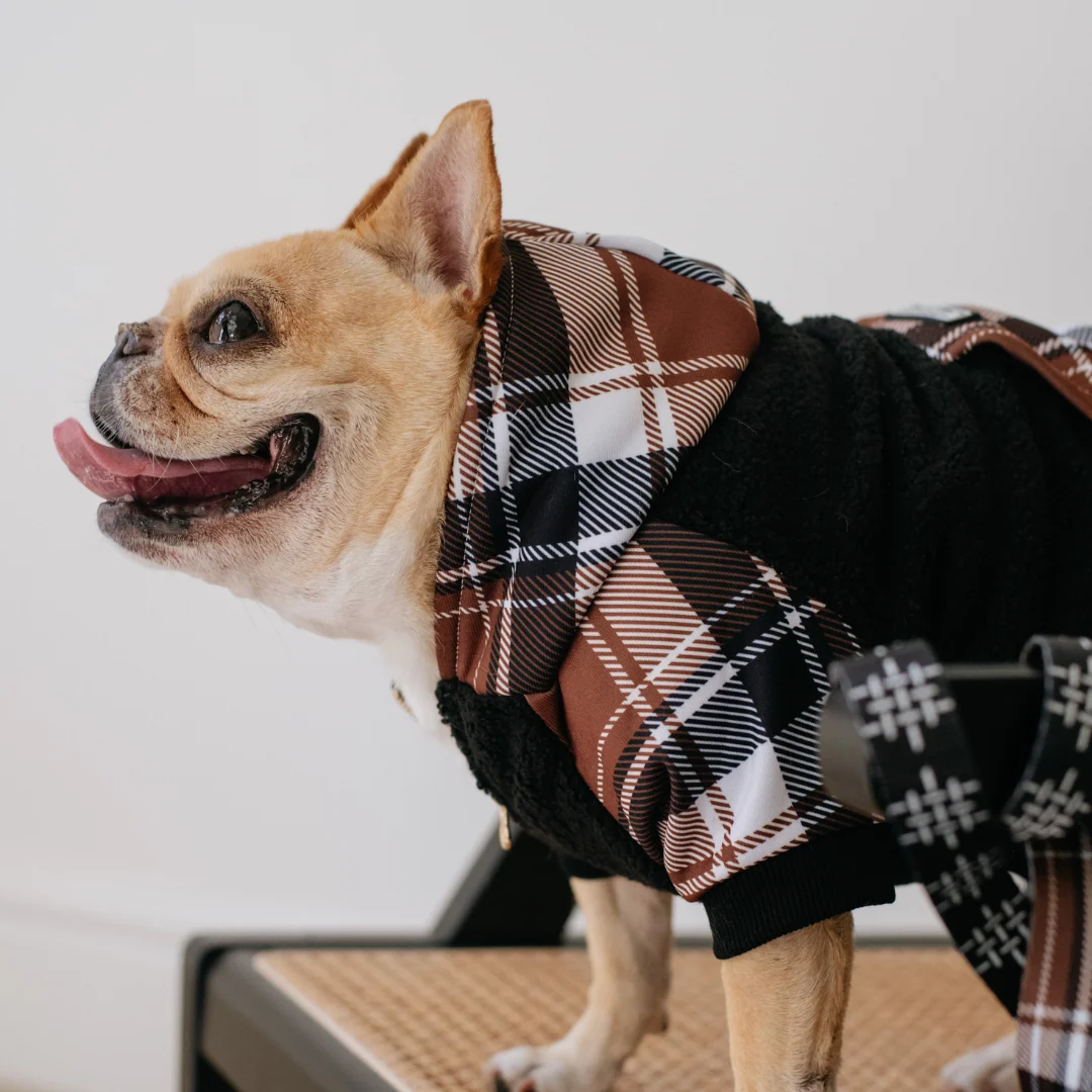 Hoodie Anjing Frenchie Cocoa Plaid Zip-Up untuk Frenchies dan Ras Kecil