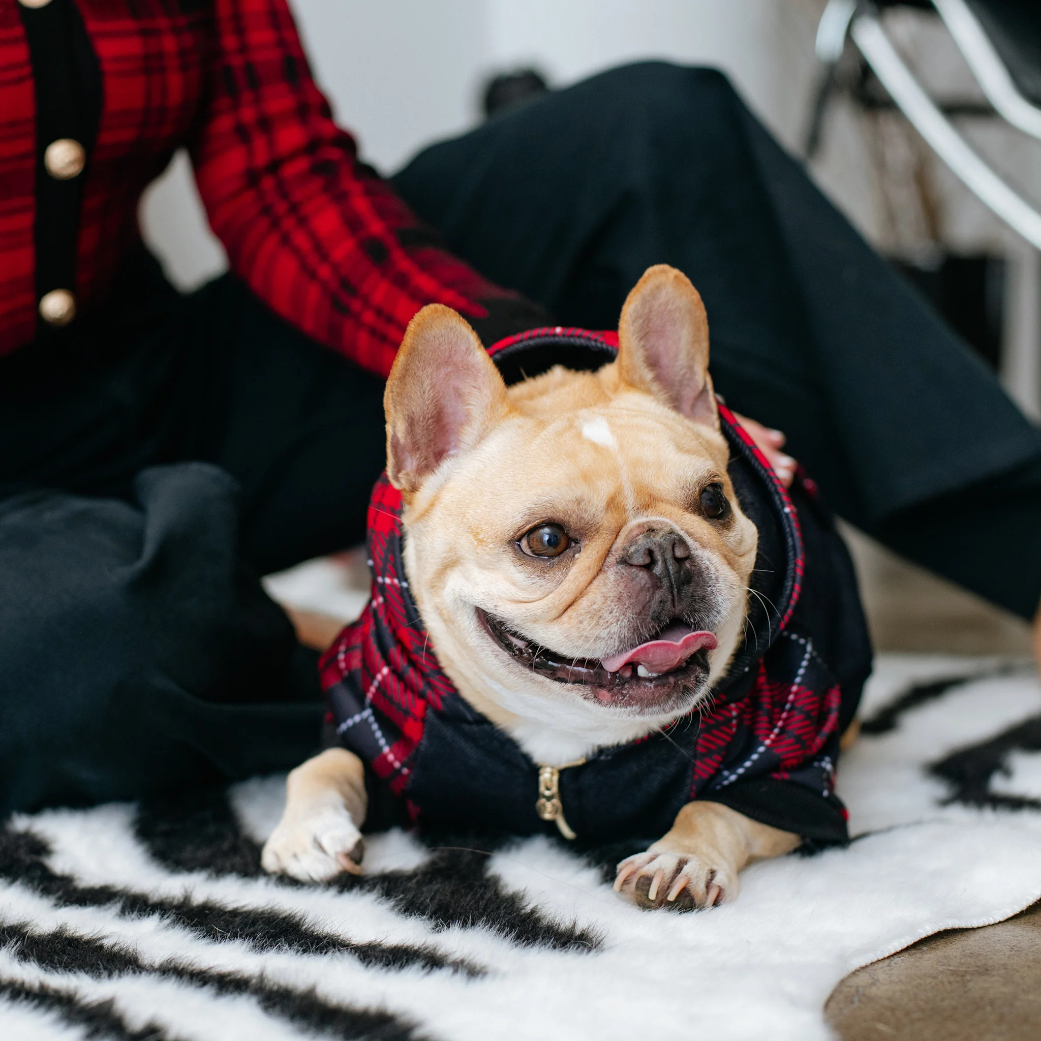 Frenchie Dog Hoodie Red Tartan Zip-Up with Harness Slit