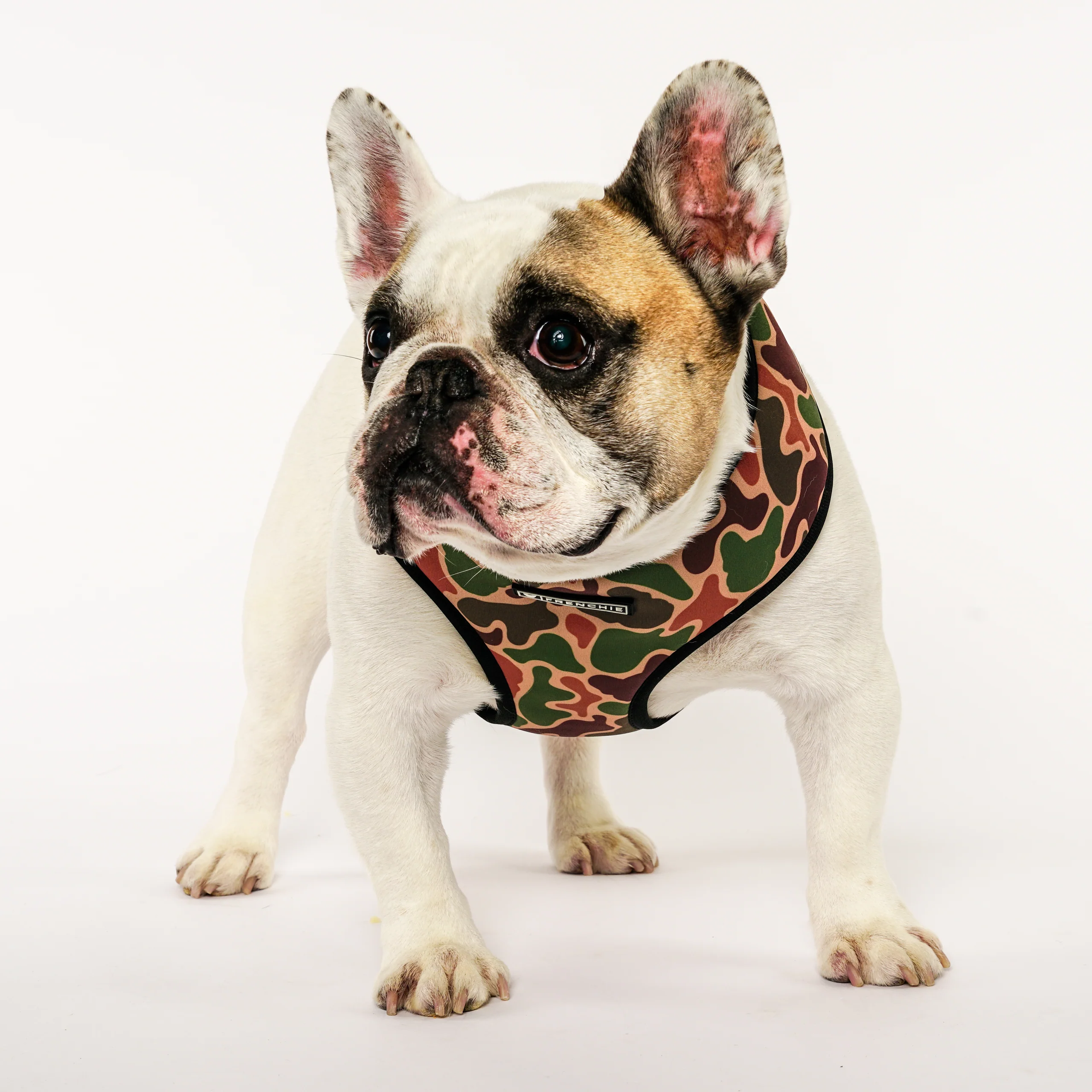 Frenchie Comfort Leash Duck Hunter Padded Handle Dog Leash