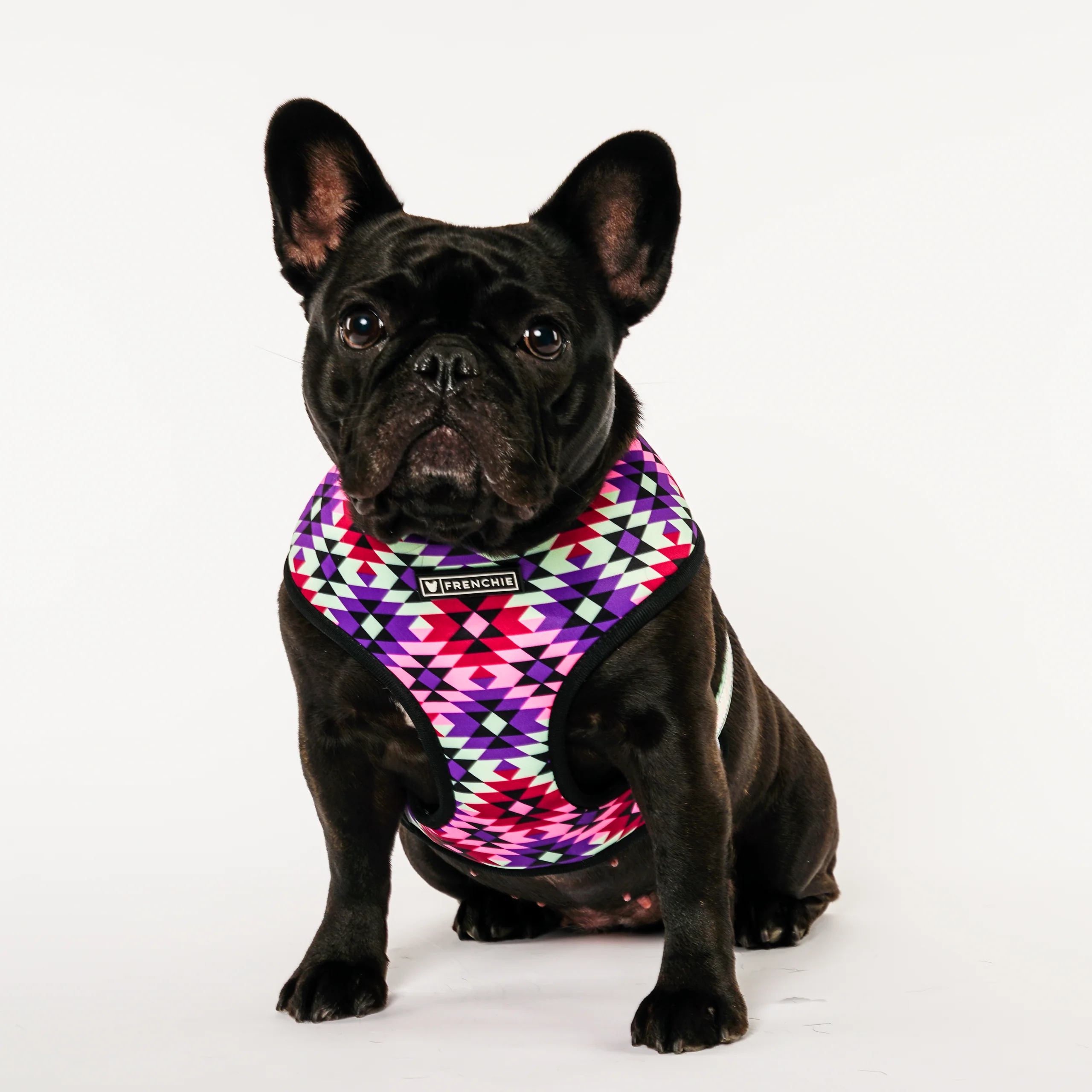 Frenchie Duo Reversible Harness in Southwest Dusk Print