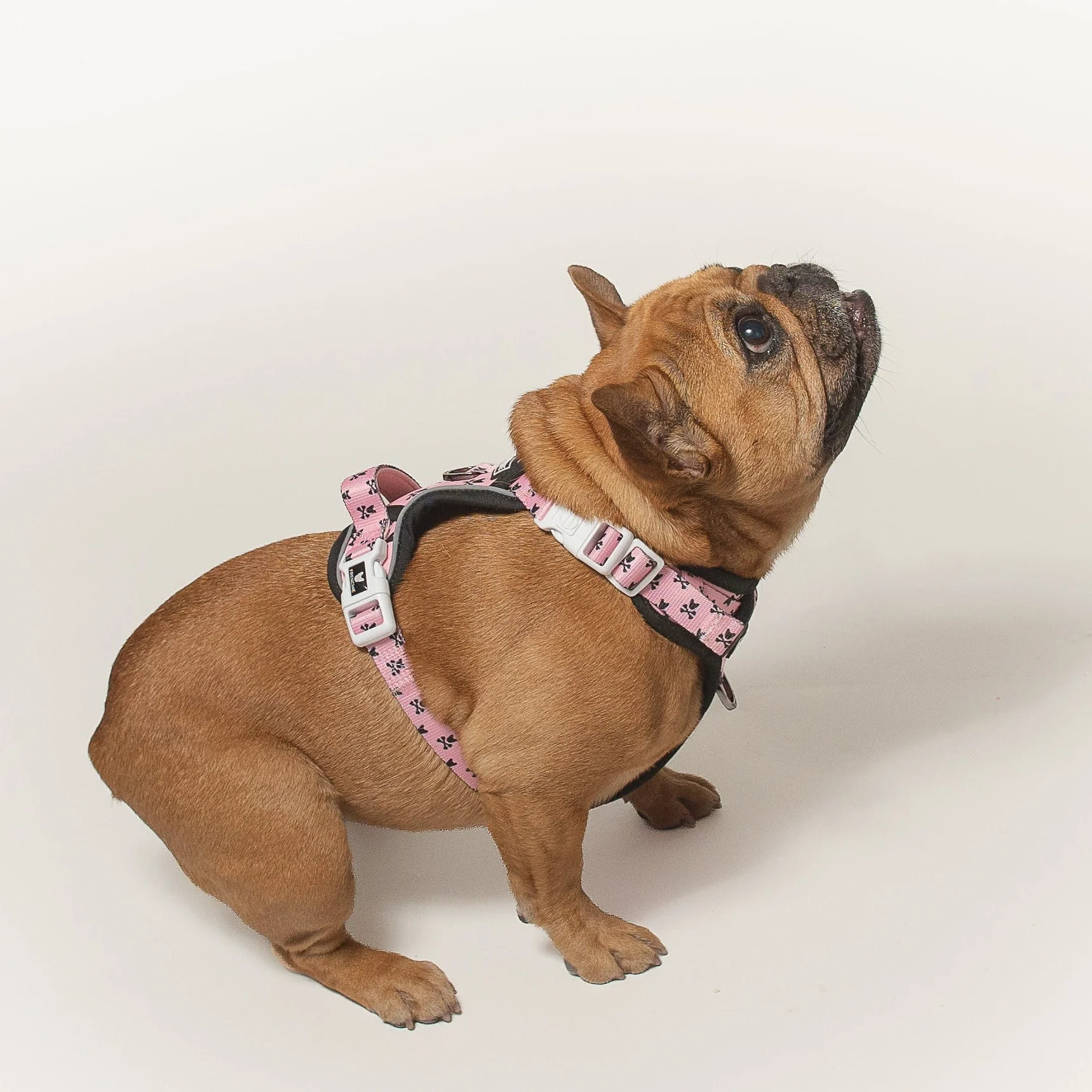 Harness Adjustable Frenchie Bad to the Bone Pink untuk Anjing Penarik yang Keras Kepala