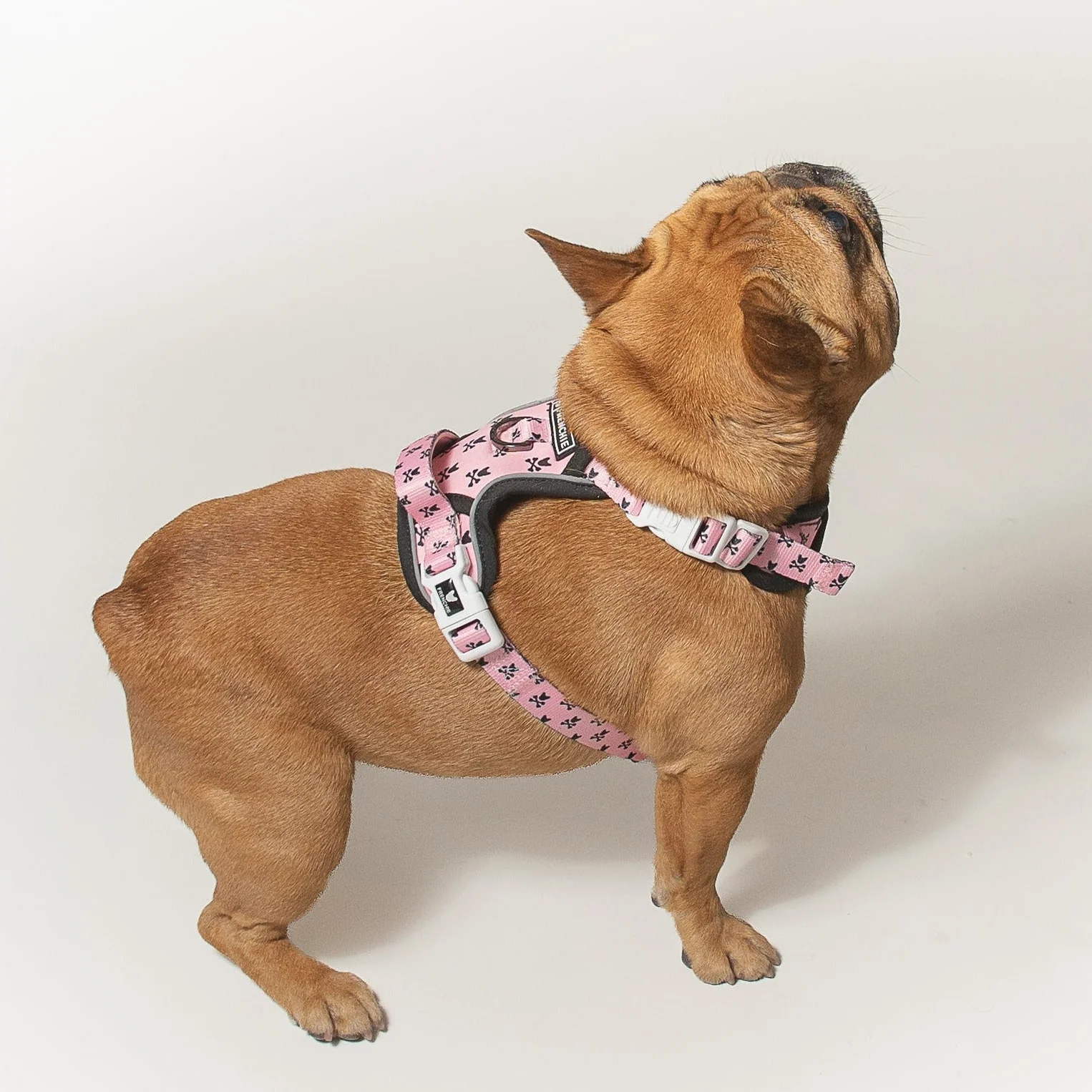 Harness Adjustable Frenchie Bad to the Bone Pink untuk Anjing Penarik yang Keras Kepala
