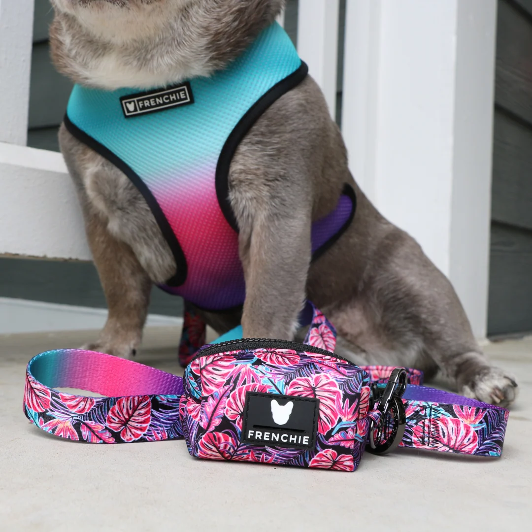 Frenchie Comfort Leash Tropical Palms with Neoprene Handle
