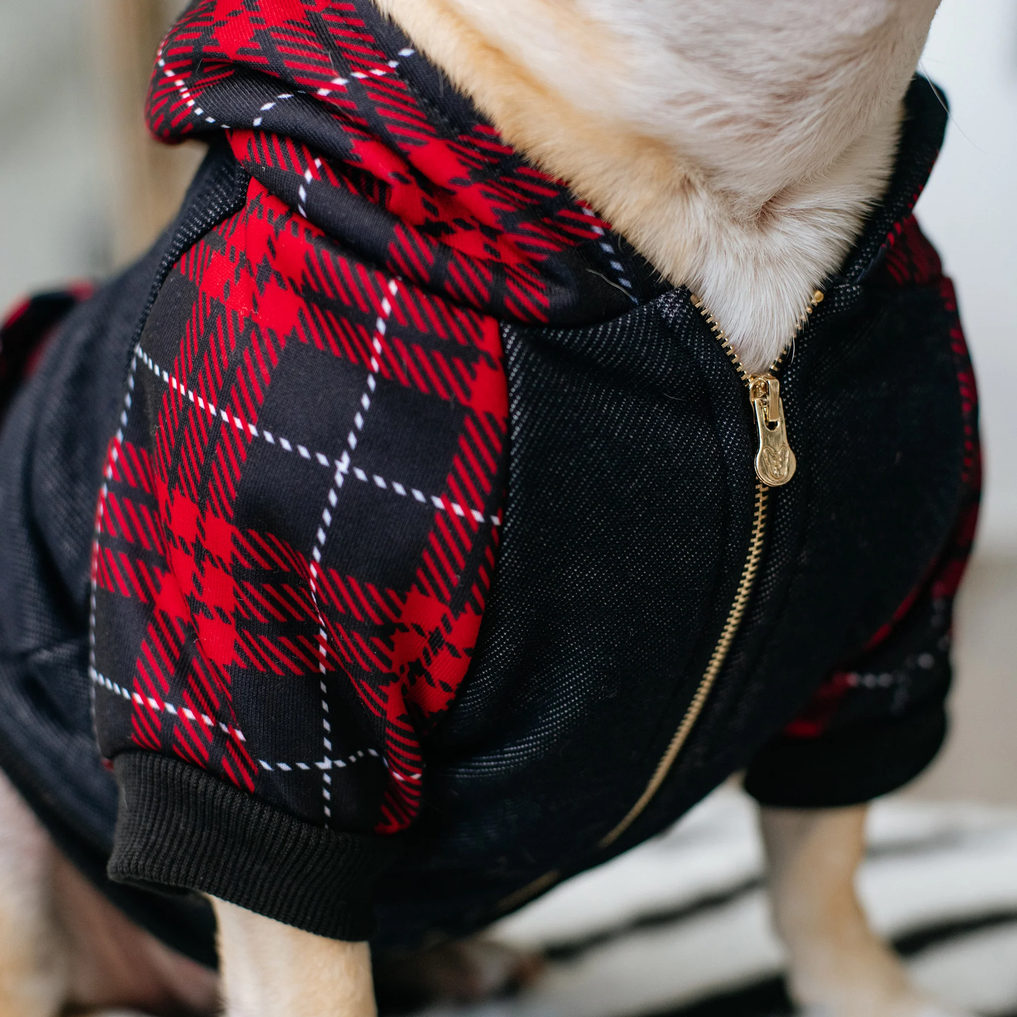 Frenchie hundehættetrøje Red Tartan lynlås med seleåbning