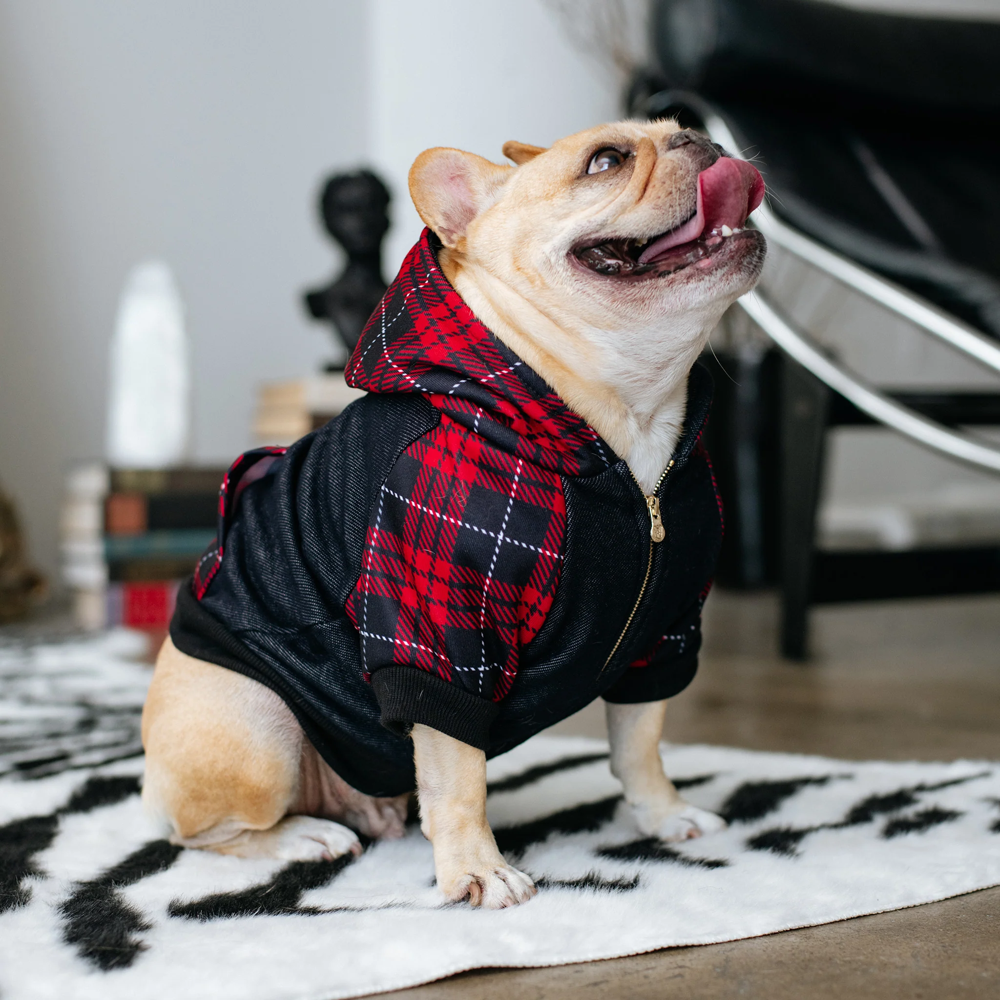 Frenchie hundehættetrøje Red Tartan lynlås med seleåbning
