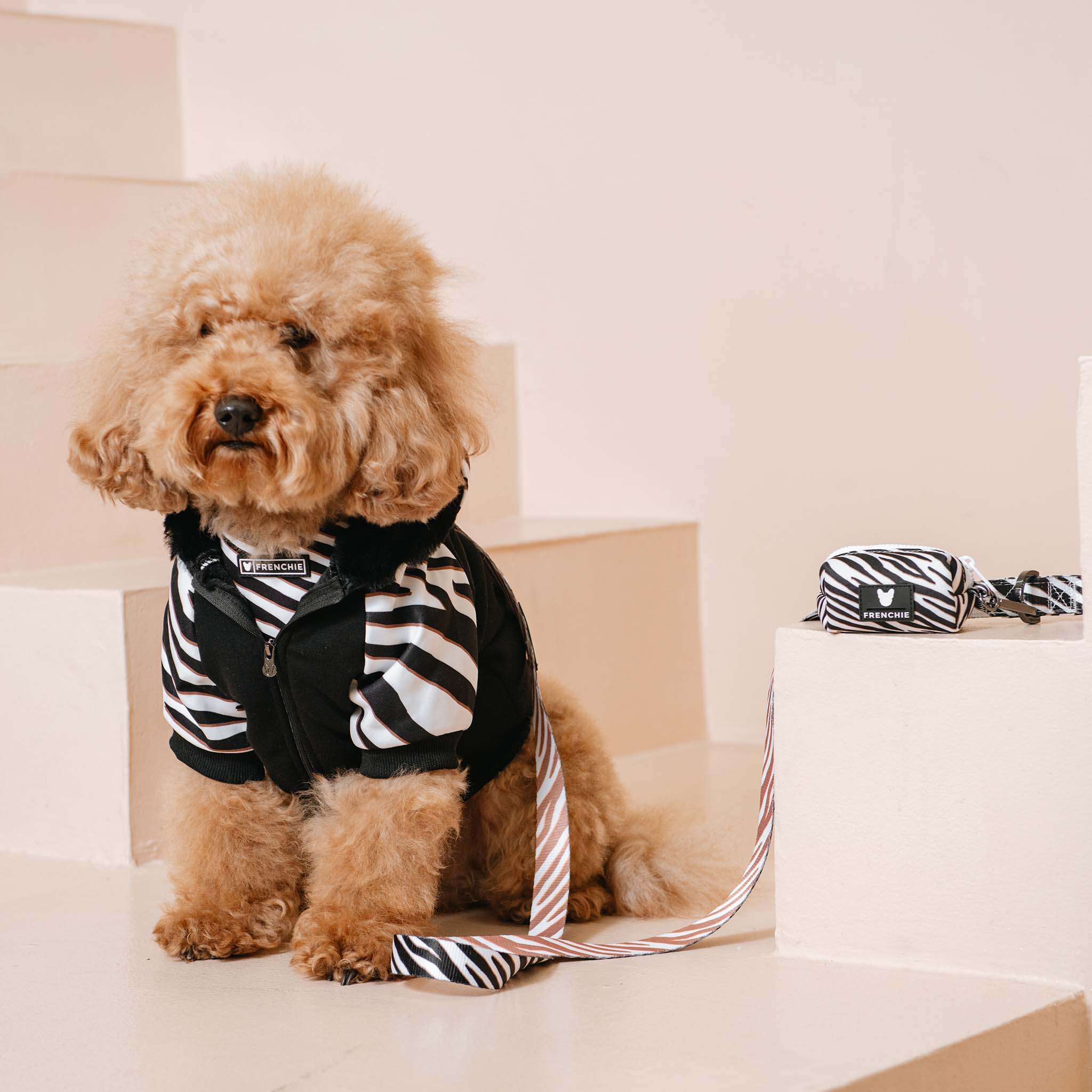 Frenchie Dog Hoodie Zebra Print with Front Zip and Back Pocket