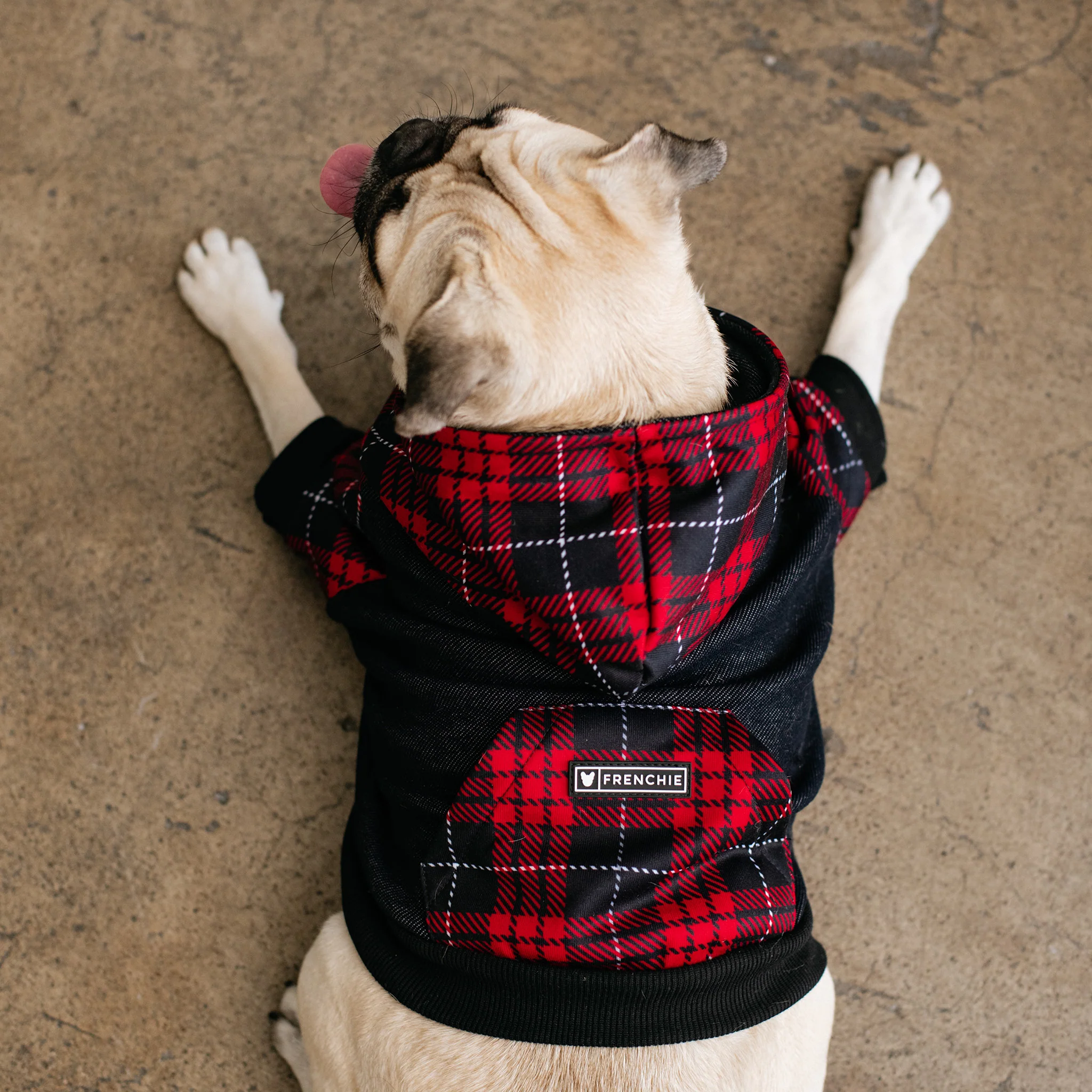 Frenchie hundehættetrøje Red Tartan lynlås med seleåbning