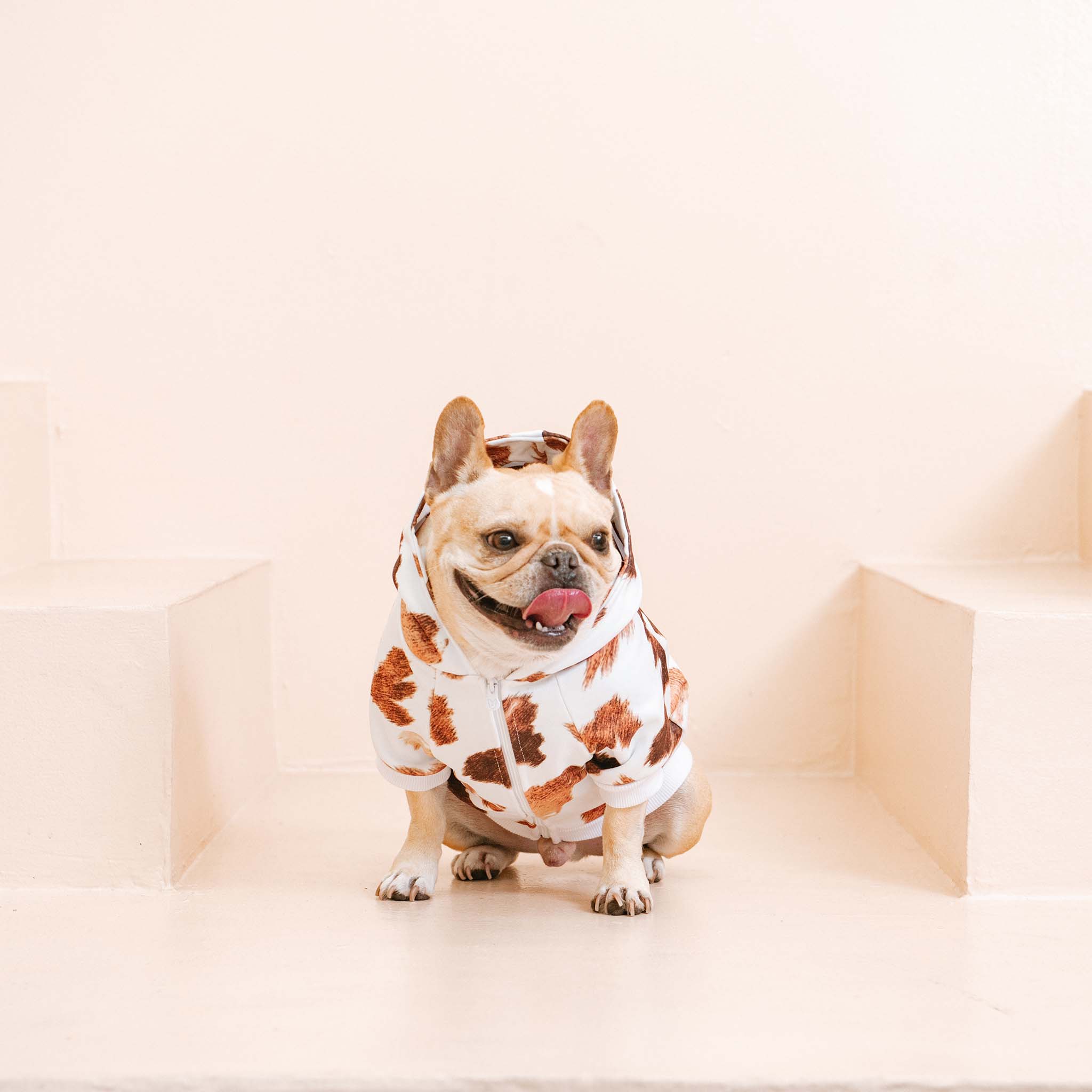 Frenchie Dog Hoodie Moo Print with Oversized Dual-Lined Hood
