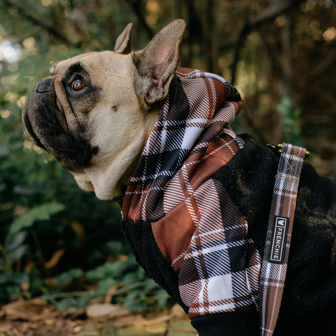 Hoodie Anjing Frenchie Cocoa Plaid Zip-Up untuk Frenchies dan Ras Kecil