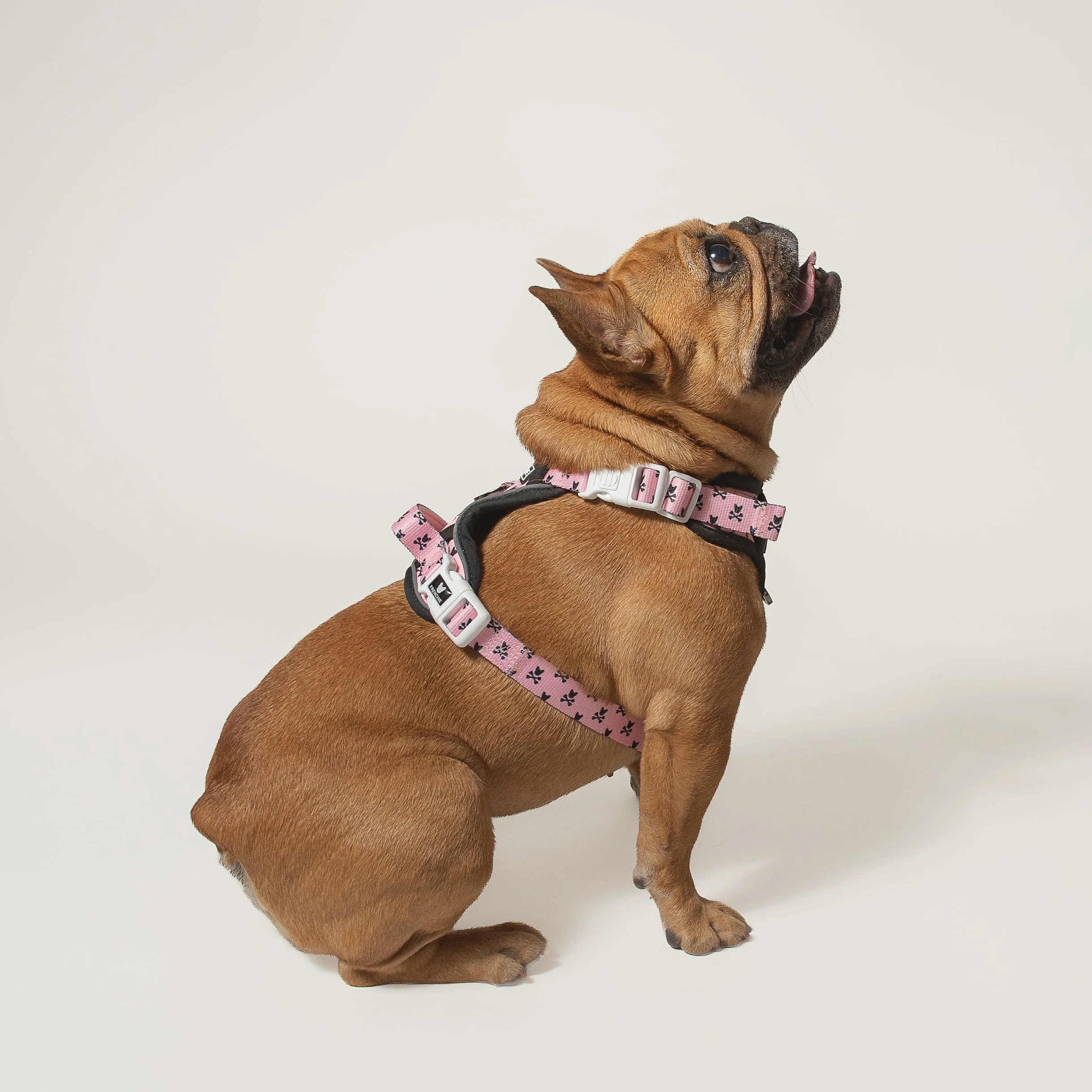 Harness Adjustable Frenchie Bad to the Bone Pink untuk Anjing Penarik yang Keras Kepala