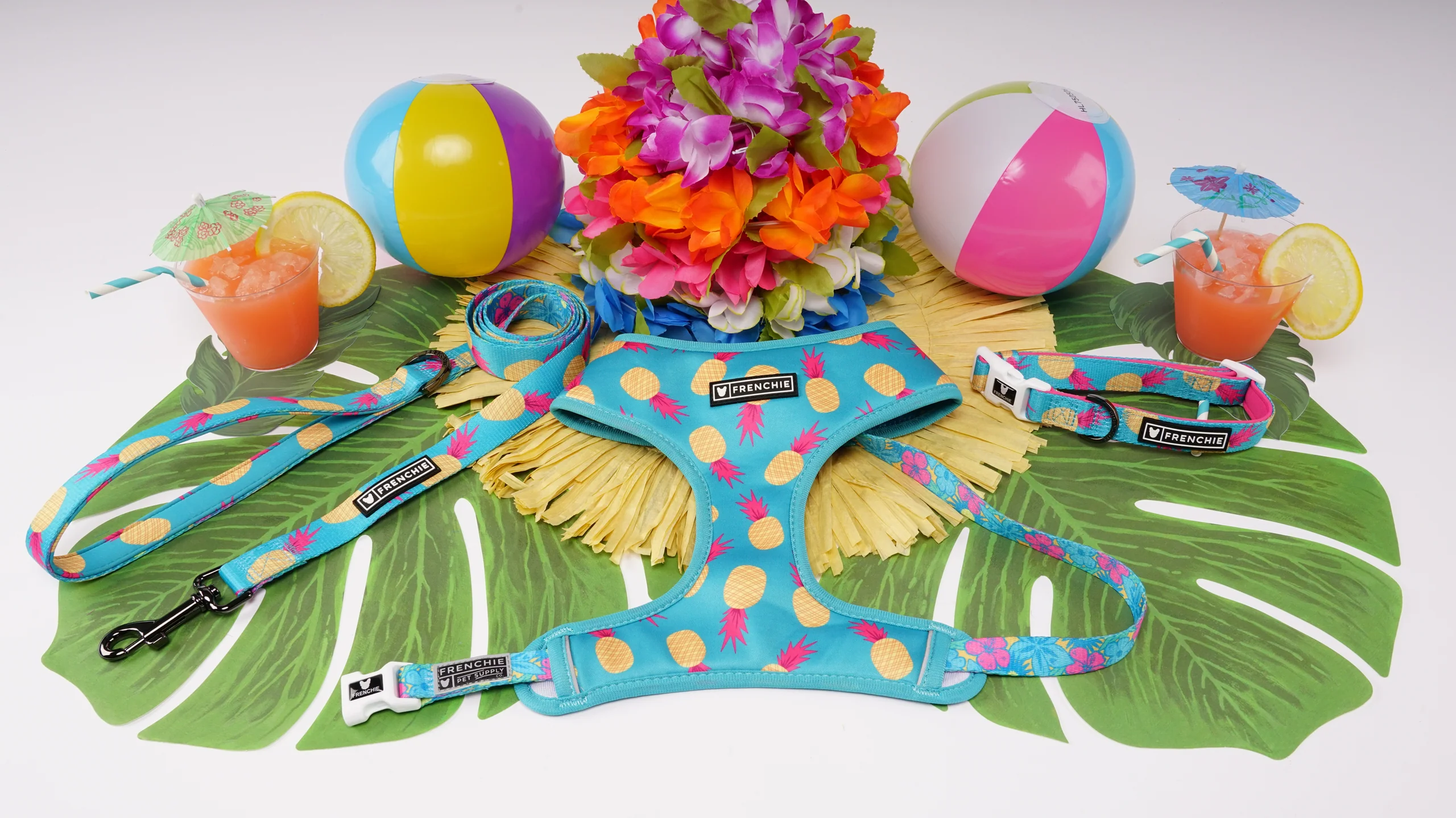 Frenchie Comfort Collar Tropical Punch with Neoprene Padding