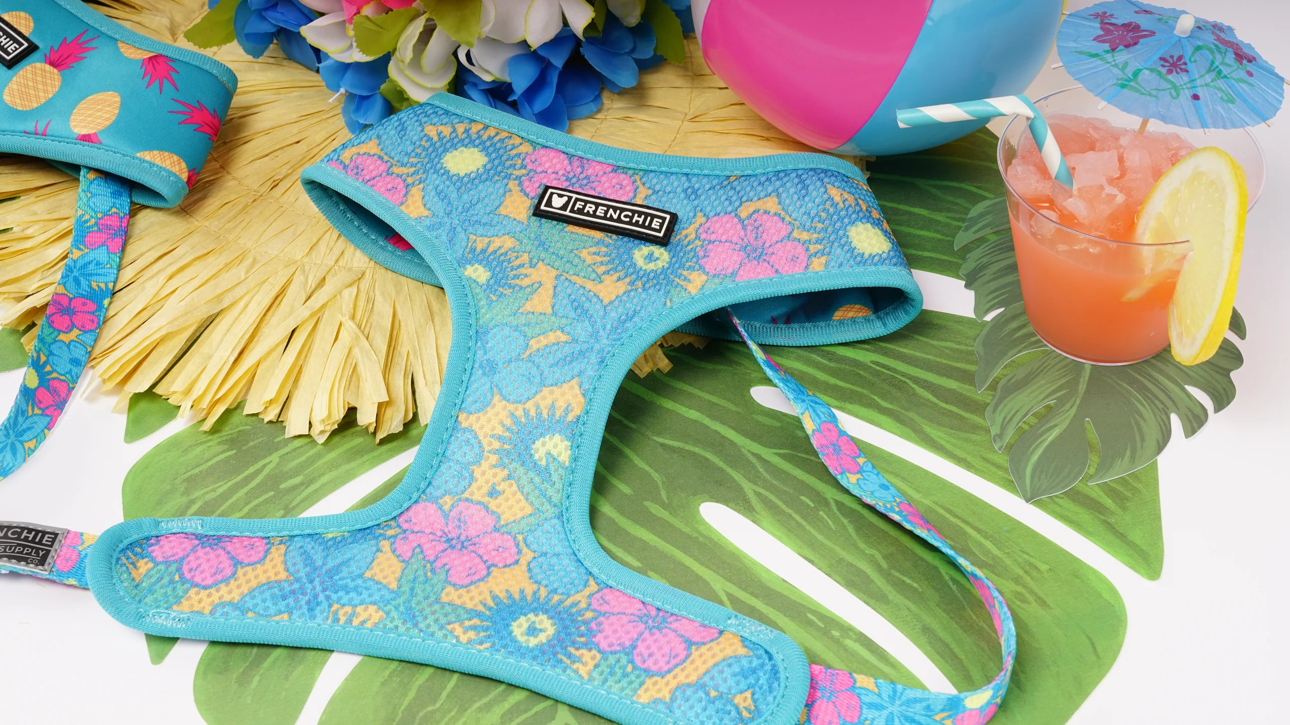 Frenchie Duo Reversible Harness Tropical Punch 두 가지 스타일을 하나로