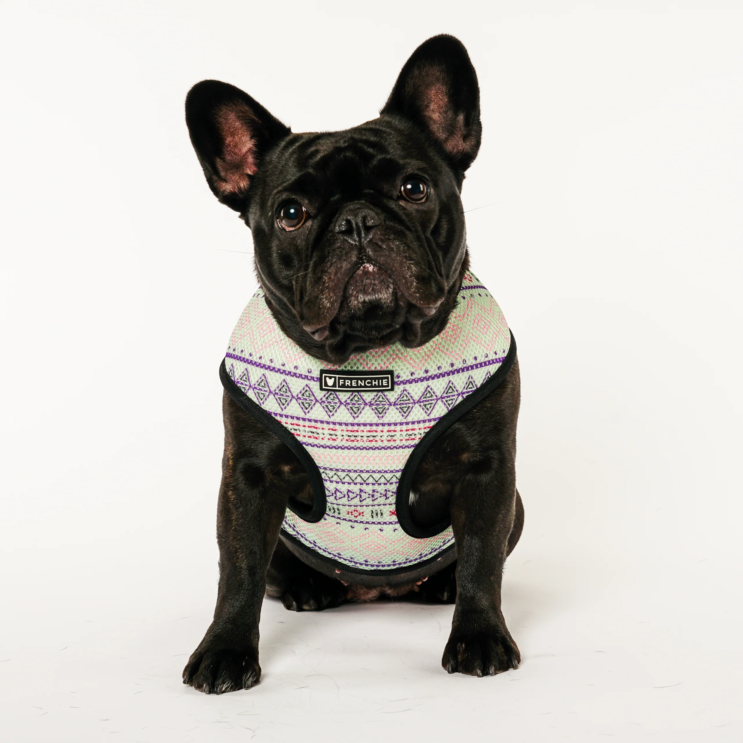 Frenchie Duo Reversible Harness in Southwest Dusk Print