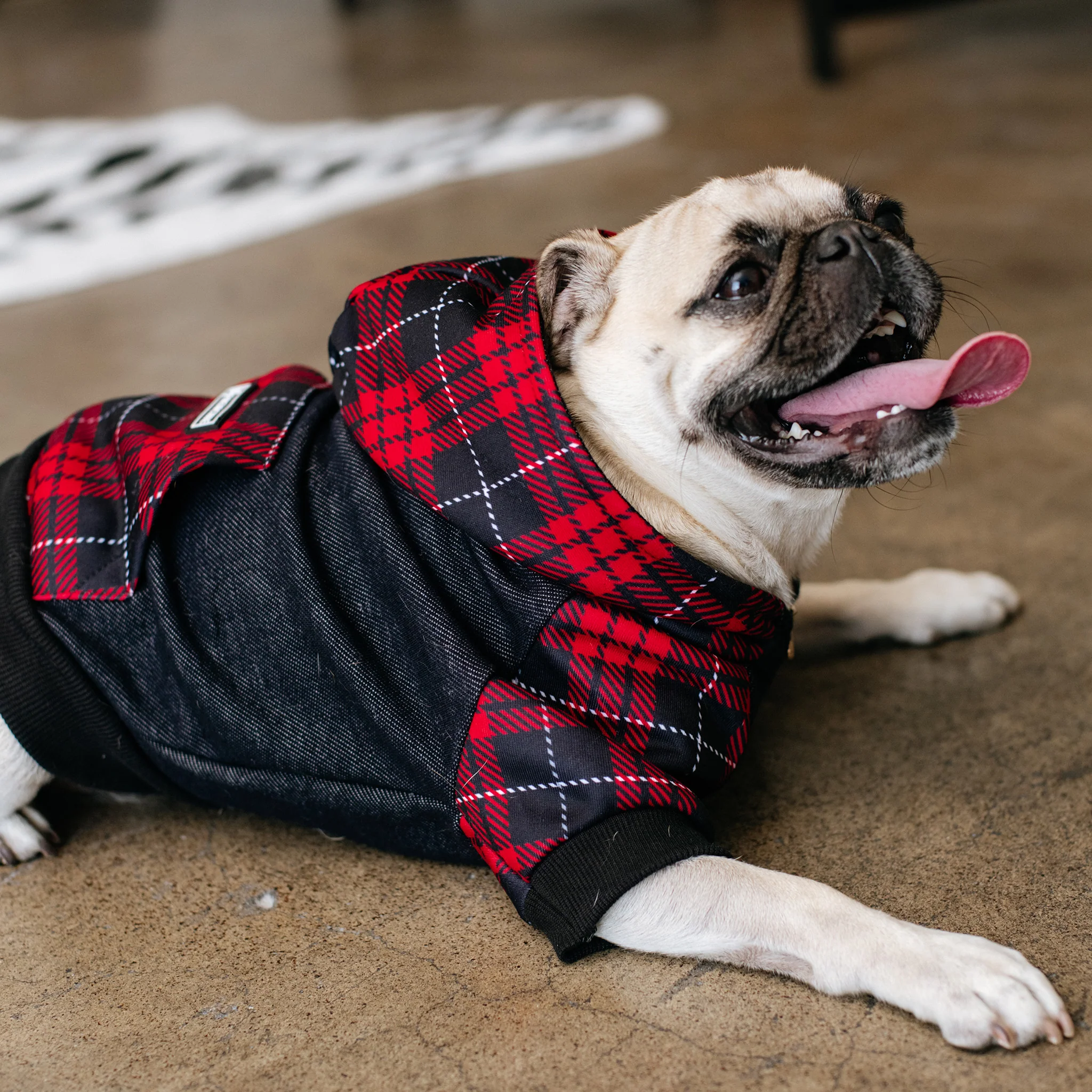 Frenchie hundehættetrøje Red Tartan lynlås med seleåbning