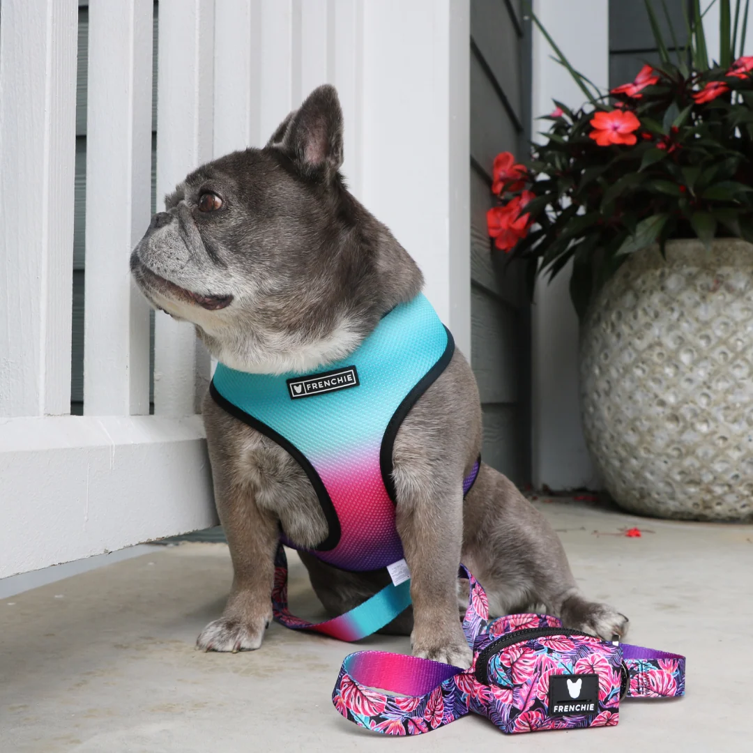 Frenchie Comfort Leash Tropical Palms with Neoprene Handle