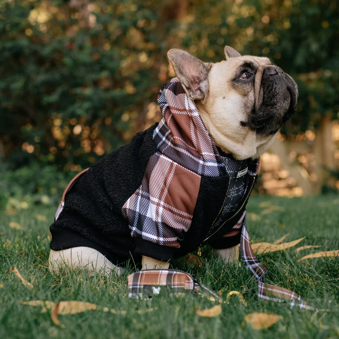 Frenchie Dog Hoodie Cocoa Plaid Zip-Up for Frenchies and Small Breeds