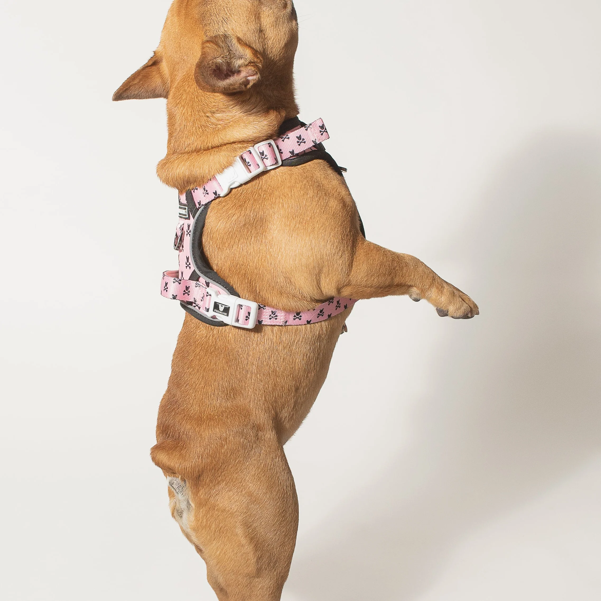 Harness Adjustable Frenchie Bad to the Bone Pink untuk Anjing Penarik yang Keras Kepala