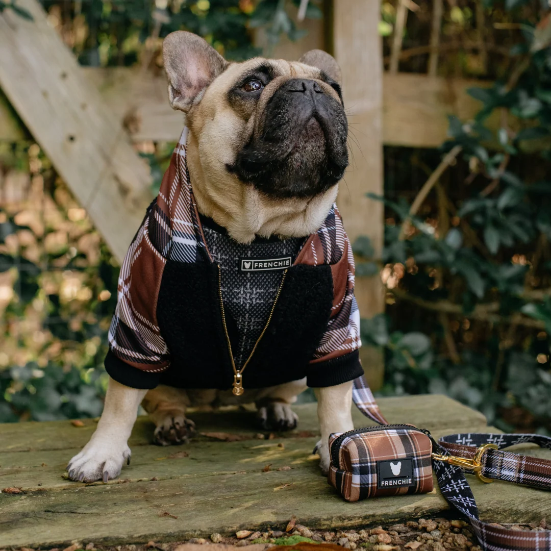 Hoodie Anjing Frenchie Cocoa Plaid Zip-Up untuk Frenchies dan Ras Kecil