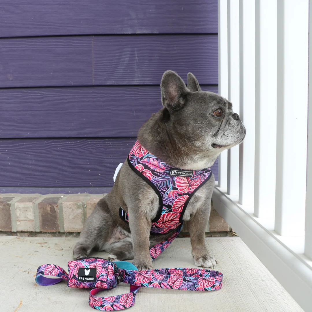 Frenchie Comfort Leash Tropical Palms with Neoprene Handle