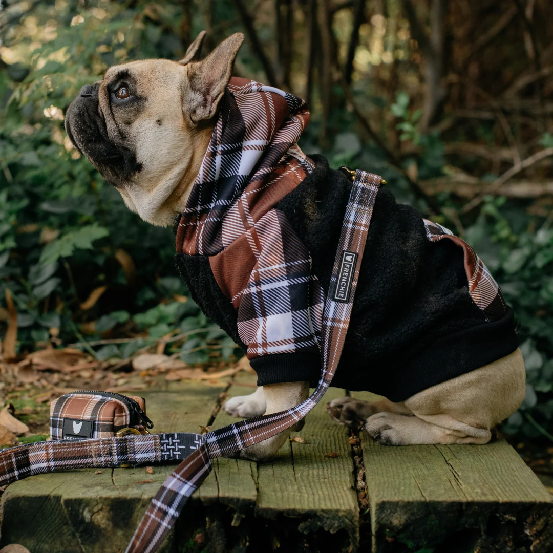 Hoodie Anjing Frenchie Cocoa Plaid Zip-Up untuk Frenchies dan Ras Kecil