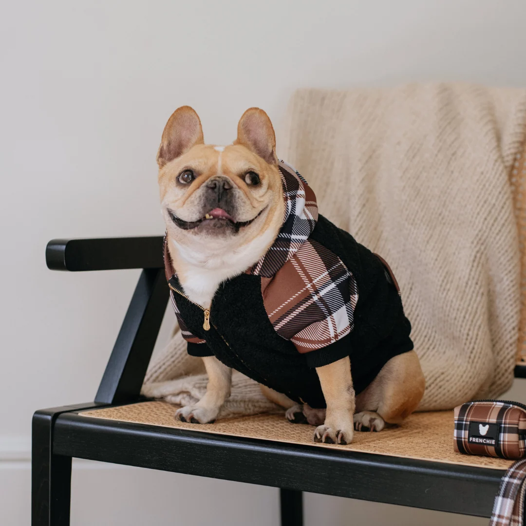 Hoodie Anjing Frenchie Cocoa Plaid Zip-Up untuk Frenchies dan Ras Kecil